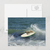 Pekingese Sailers Postkarte (Vorne/Hinten)