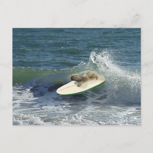 Pekingese Sailers Postkarte (Vorderseite)
