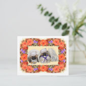 Pekingese Sailers Postkarte (Stehend Vorderseite)