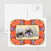 Pekingese Sailers Postkarte (Vorne/Hinten)