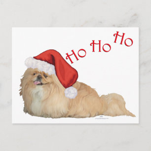 Pekingese Santa Claus Feiertagspostkarte