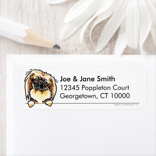 Pekingese sauber und einfach (Insitu)