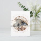 Pekingese schaut aus postkarte (Stehend Vorderseite)