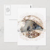 Pekingese schaut aus postkarte (Vorne/Hinten)