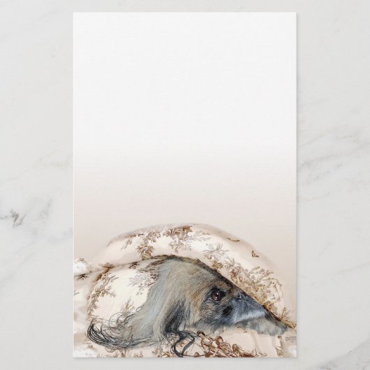 Pekingese schaut hervor briefpapier (Vorderseite)