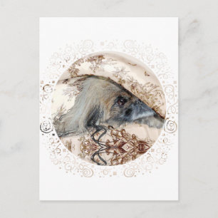 Pekingese schaut hervor postkarte