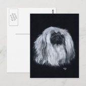 Pekingese Schwarz/Weiß Postkarte (Vorne/Hinten)