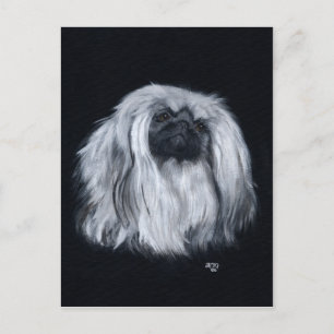 Pekingese Schwarz & Weiß Postkarte