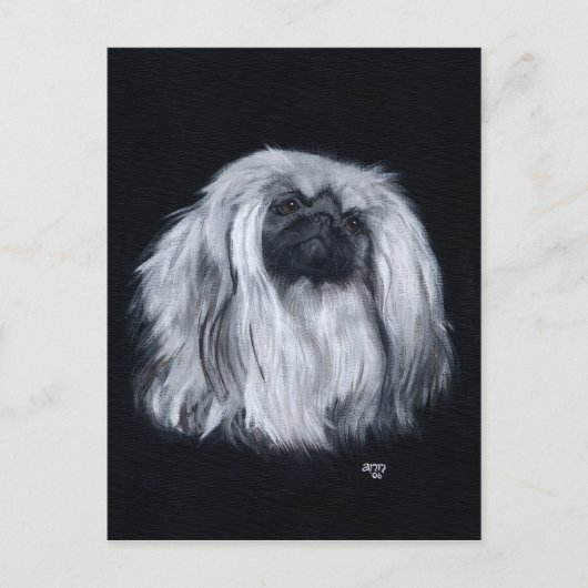 Pekingese Schwarz/Weiß Postkarte (Vorderseite)