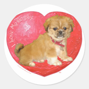 Pekingese / Shih Tzu Mix Valentinstag Runder Aufkleber