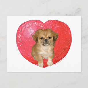 Pekingese / Shih Tzu Valentinstag Feiertagspostkarte