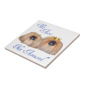 Pekingese sind nicht verwirrt fliese (Seite)