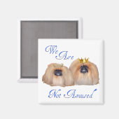 Pekingese sind nicht verwirrt magnet (Vorderseite/Rückseite)