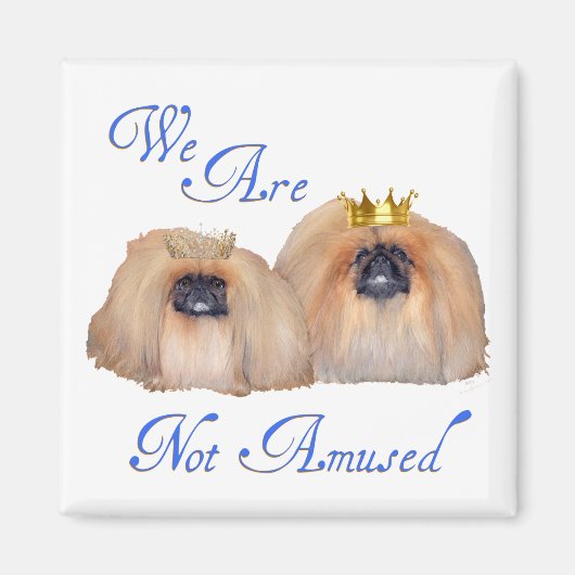 Pekingese sind nicht verwirrt magnet (Vorne)