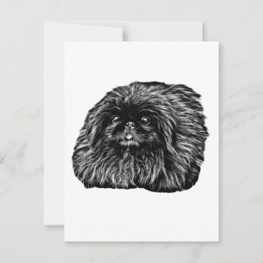 Pekingese Stationery - leere Karte "Fuzz" (Vorderseite)