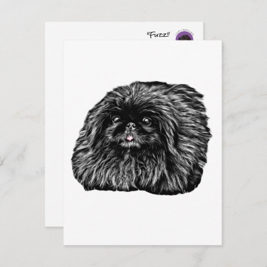 Pekingese Stationery - leere Karte "Fuzz" (Vorne/Hinten)
