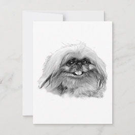 Pekingese Stationery - leere Karte "JenaSota"