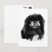 Pekingese Stationery - leere Karte "Mork" (Vorne/Hinten)