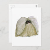 Pekingese, tony fernandes postkarte (Vorne/Hinten)