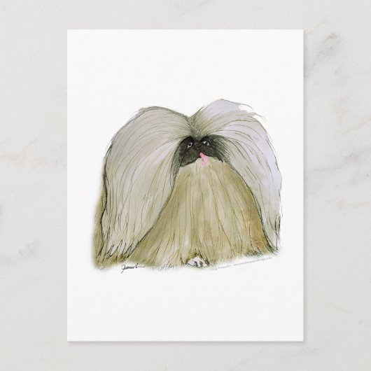 Pekingese, tony fernandes postkarte (Vorderseite)