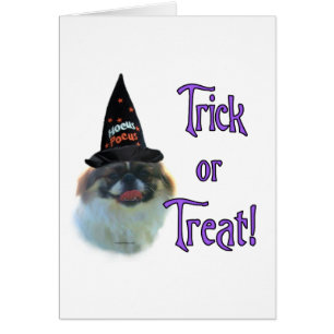 Pekingese Trick