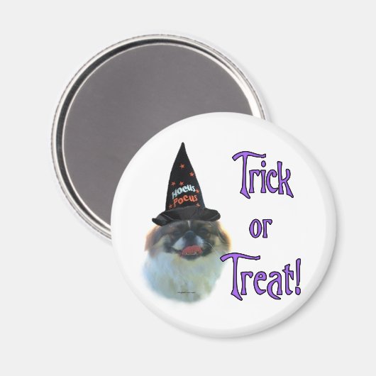 Pekingese Trick Magnet (Vorderseite/Rückseite)