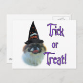 Pekingese Trick Postkarte (Vorne/Hinten)