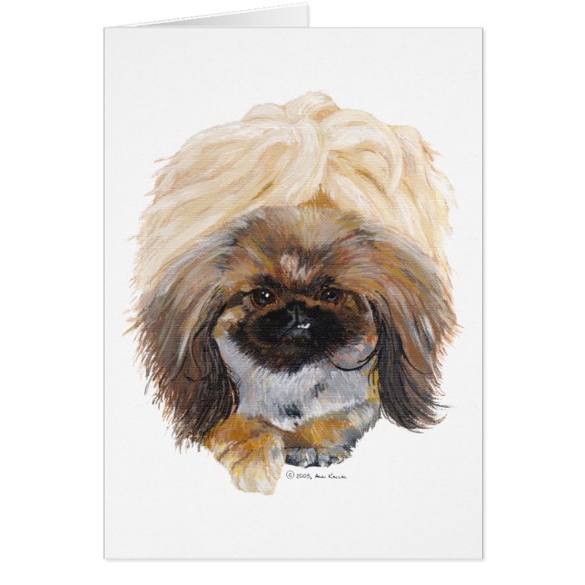 Pekingese Tuffy (Vorne)