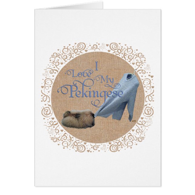 Pekingese Tug-O-Krieg (Vorne)