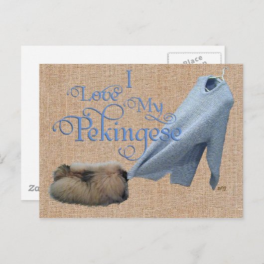 Pekingese Tug-O-Krieg Postkarte (Vorne/Hinten)