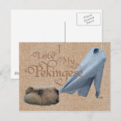 Pekingese Tug-O-Krieg Postkarte (Vorne/Hinten)