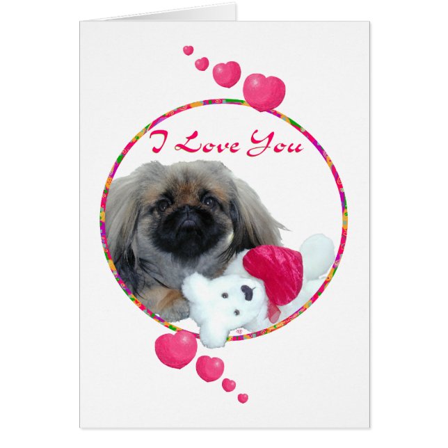 Pekingese Valentine (Vorne)