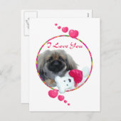 Pekingese Valentine Feiertagspostkarte (Vorne/Hinten)
