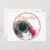 Pekingese Valentine Feiertagspostkarte (Vorne/Hinten)