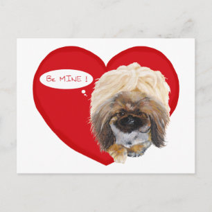 Pekingese Valentine Feiertagspostkarte