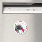 Pekingese Valentine Magnet (In Situ (Geschirrspüler))