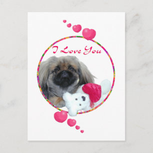 Pekingese Valentinstag Feiertagspostkarte