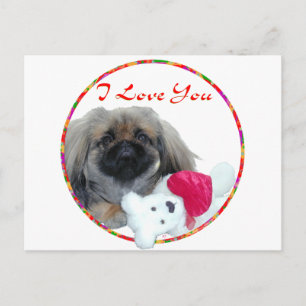 Pekingese Valentinstag Feiertagspostkarte