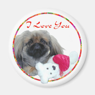 Pekingese Valentinstag Magnet