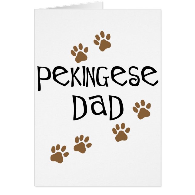 Pekingese Vater (Vorne)
