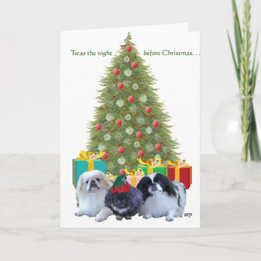 Pekingese Weihnachten (Vorderseite)