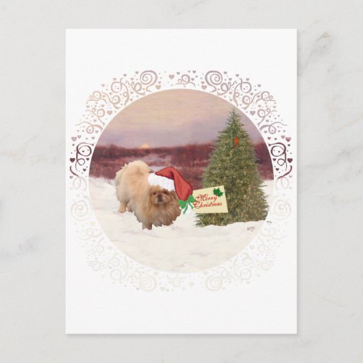Pekingese Weihnachten (Vorderseite)