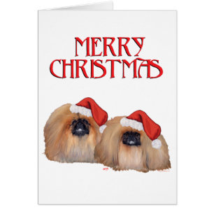 Pekingese Weihnachten