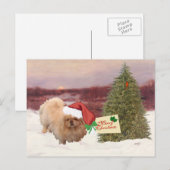Pekingese Weihnachten (Vorne/Hinten)