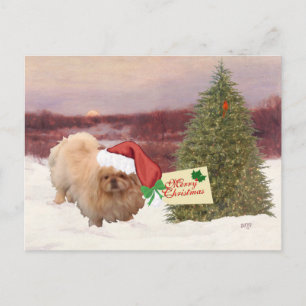 Pekingese Weihnachten