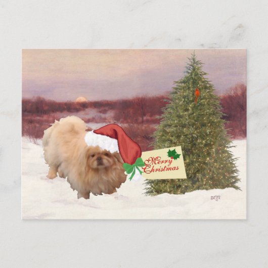 Pekingese Weihnachten (Vorderseite)