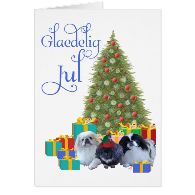 Pekingese Weihnachten (Vorne)