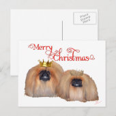 Pekingese Weihnachten (Vorne/Hinten)