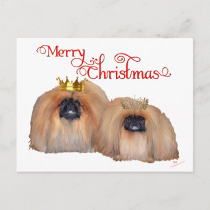 Pekingese Weihnachten