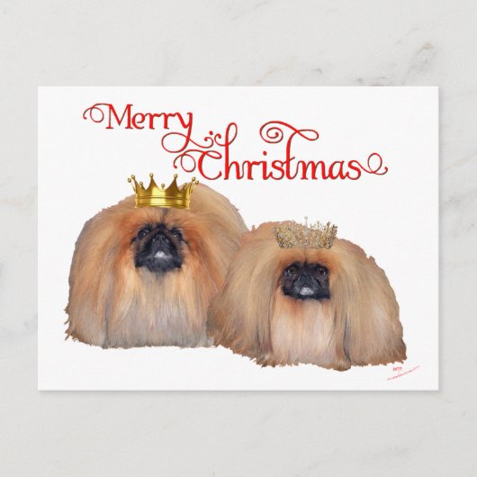 Pekingese Weihnachten (Vorderseite)